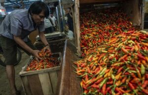 Harga Cabai Naik, BI Prediksi Inflasi 0,05 % di Bulan Oktober