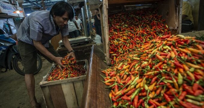 Harga Cabai Naik, BI Prediksi Inflasi 0,05 % di Bulan Oktober