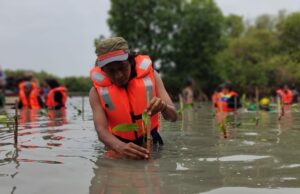 Cegah Kerusakan Lingkungan, Komunitas Pecinta Alam Tanam Ribuan Bibit Mangrove