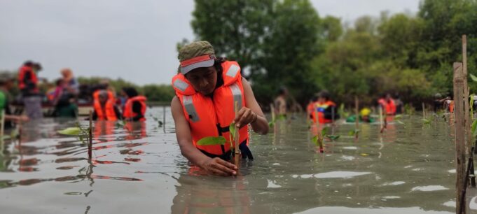 Cegah Kerusakan Lingkungan, Komunitas Pecinta Alam Tanam Ribuan Bibit Mangrove